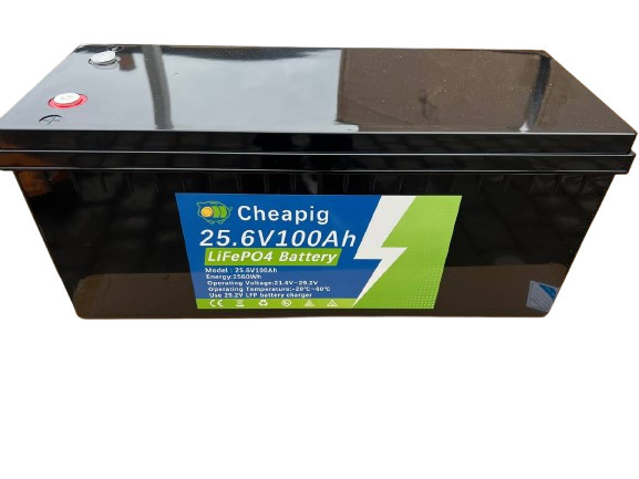 Акумулятор LiFePO4 Cheapig 25.6 V 100 Ah (2560Wh)