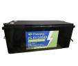 Акумулятор LiFePO4 Cheapig 25.6 V 100 Ah (2560Wh)