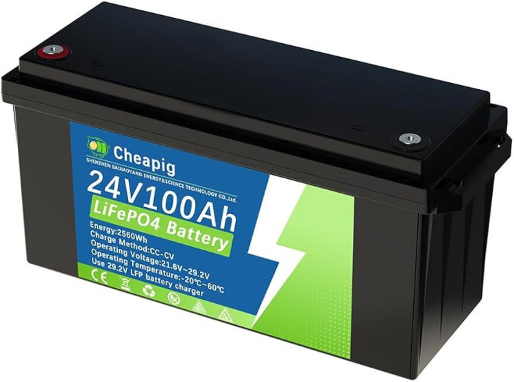 Акумулятор Cheapig LiFePO4 24 V 100 Ah з вбудованою BMS 100A